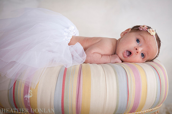 Benner, Jenna & Maddie (12.29.11)3163_HDP021