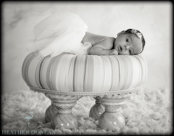 Benner, Jenna & Maddie (12.29.11)3169_HDP023-Edit