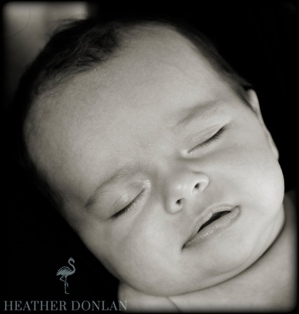 Benner, Jenna & Maddie (12.29.11)3269_HDP039-Edit