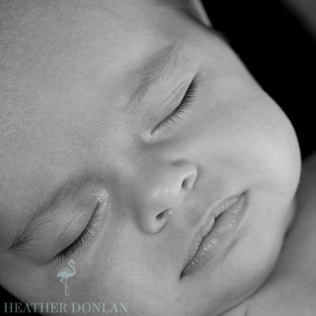 Benner, Jenna & Maddie (12.29.11)3287_HDP050