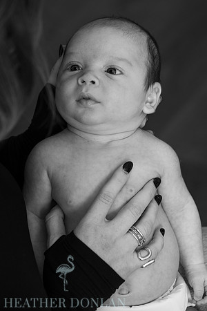 ©2023HeatherDonlan_0426_Press, Axel (07.10.26)