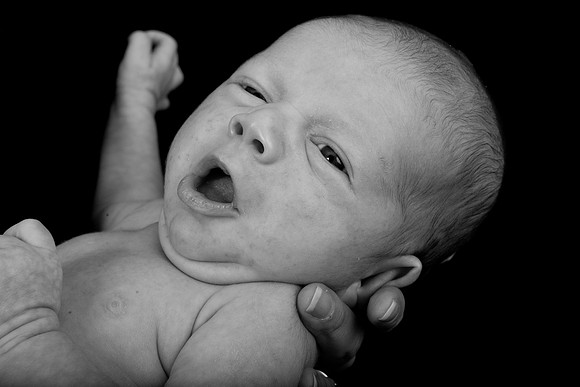 Dylan Press-82