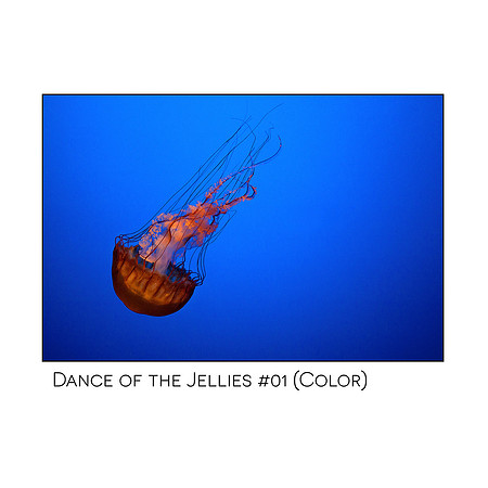 Dance of the Jellies #01 (Color)